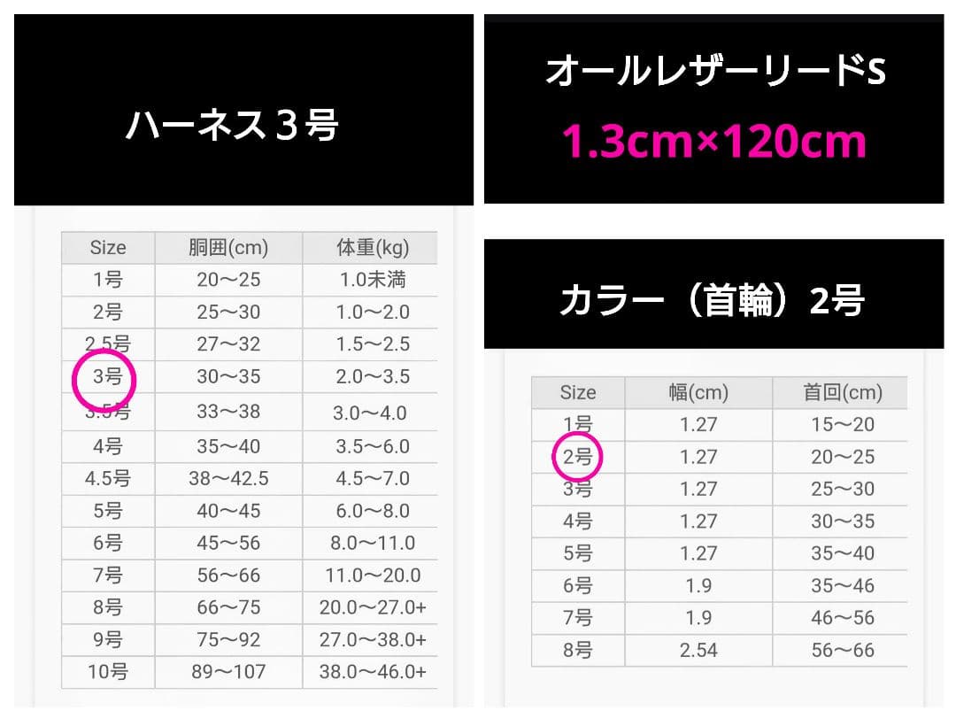 バディーベルト　ハーネス・カラー・リードの3点 バディベルト　BUDDYBELT