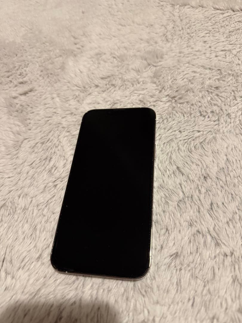 Apple iPhone 13 promax 256GB シルバー　本体