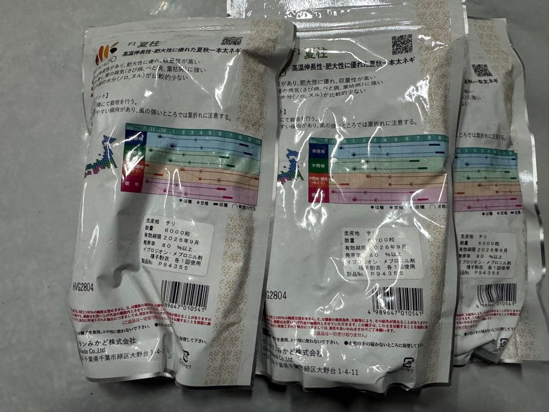 ネギ種子　夏柱　6000粒　有効期限26年９月