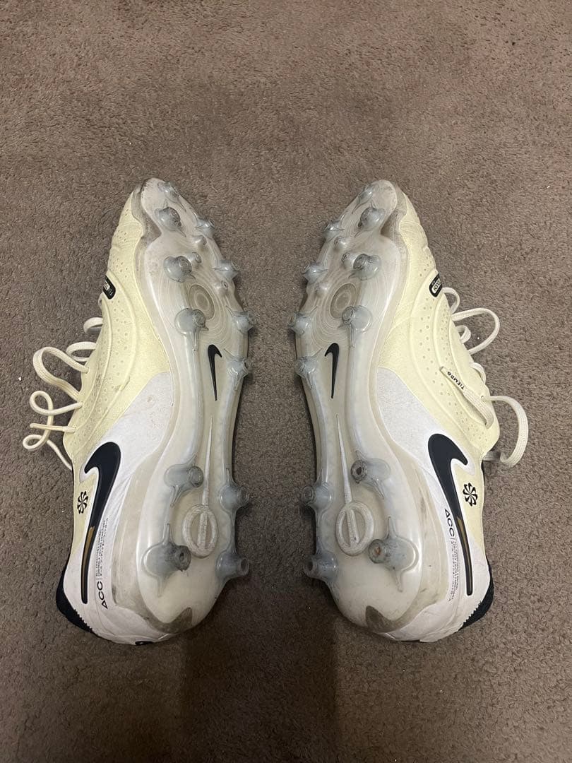 ナイキ　ティエンポ レジェンド 10 エリート AG 29cm