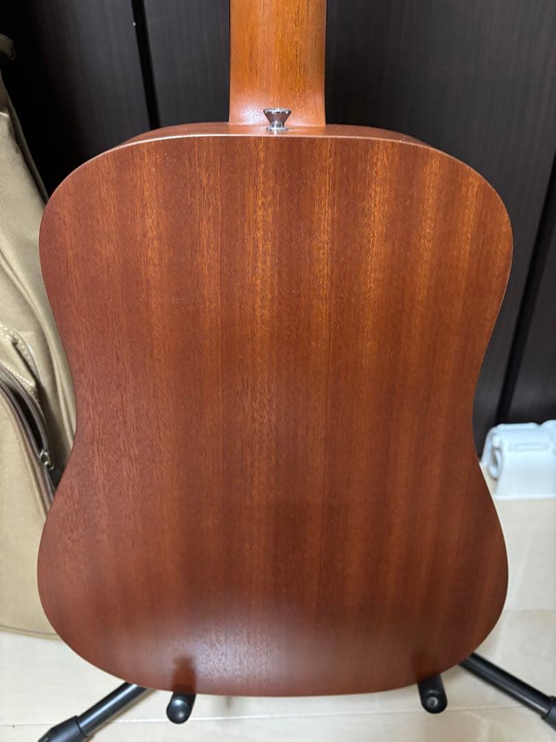 Taylor BT2E エレアコ