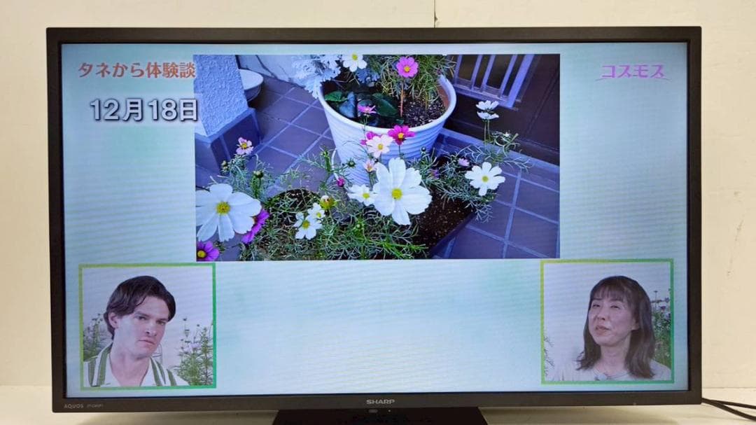 【完動品】SHARP シャープ 液晶テレビ 2T-C32GF1