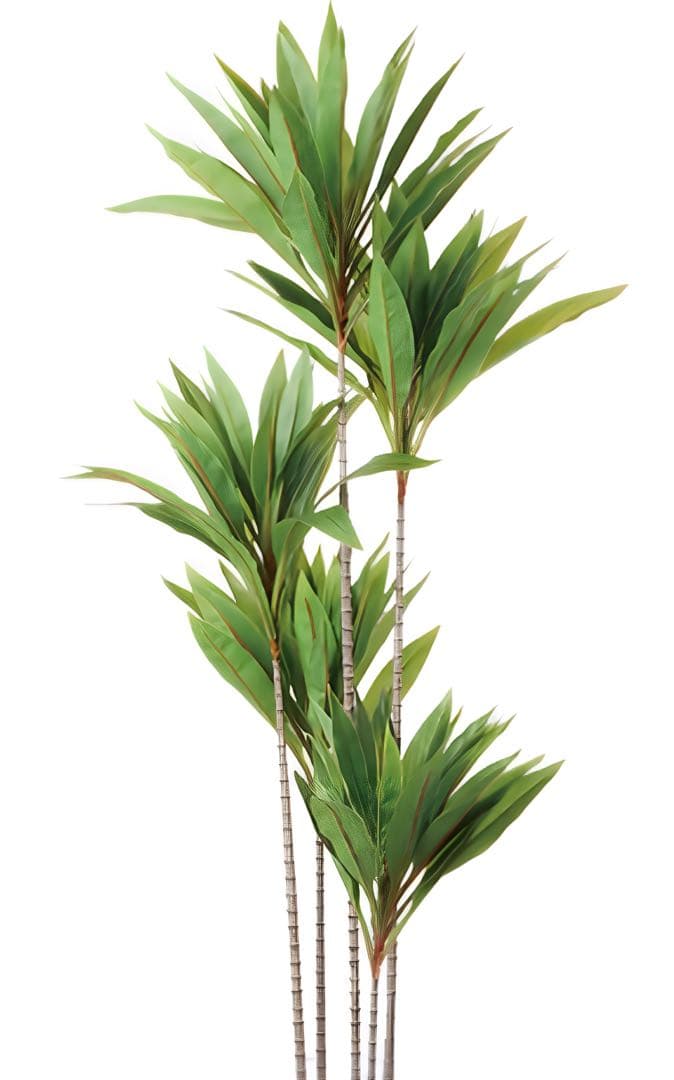 光触媒　人工観葉植物　ウォールグリーン　フェイクグリーン　ドラセナゴルジリネ15