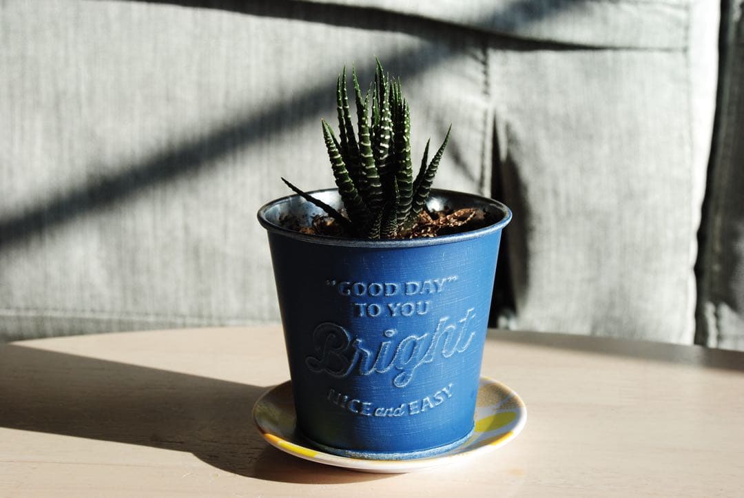 『完動美品』Nikon D3000 + AF-S DX 18-135mm セット