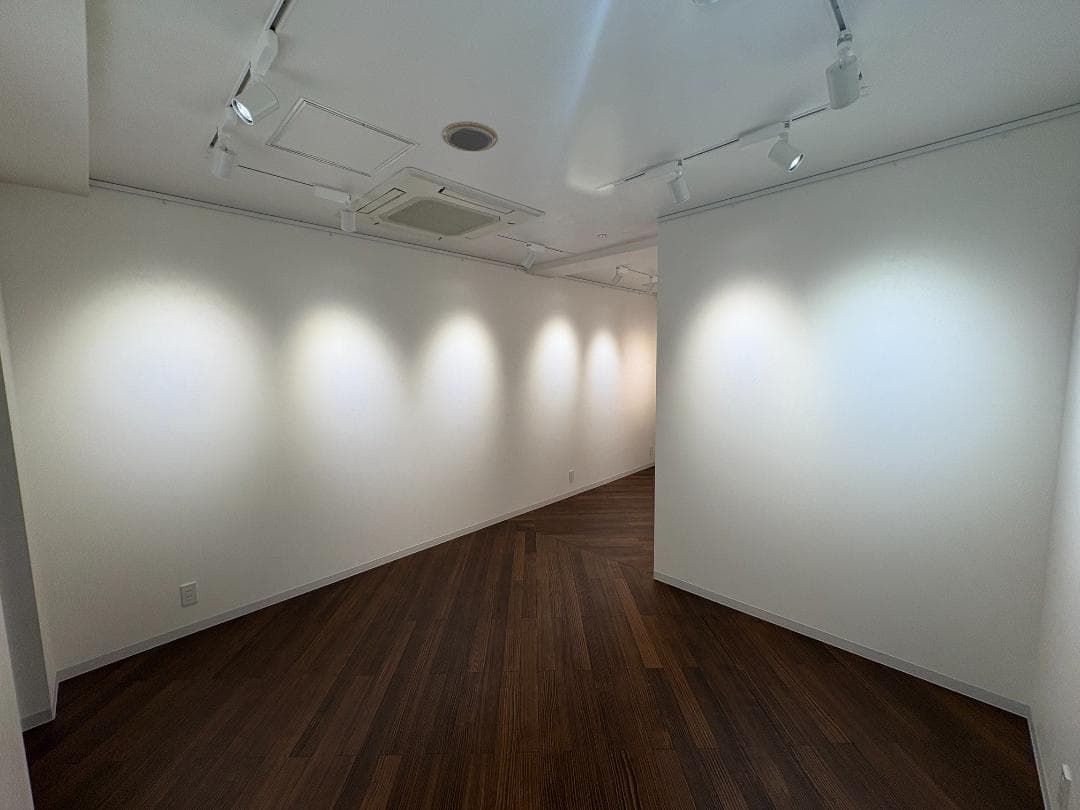 Panasonic LED NT-S01008WLG1 スポットライト5台セット