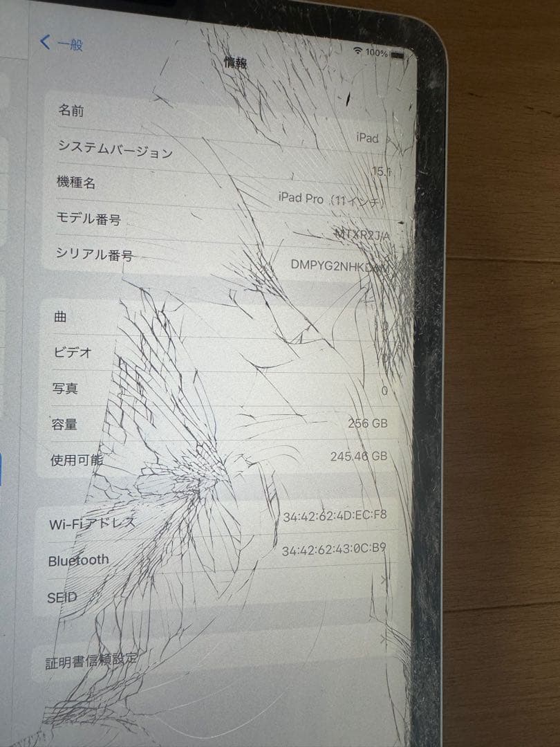 鴻*昇様 Apple アップル　iPad Pro 11インチ Wi-Fi A19