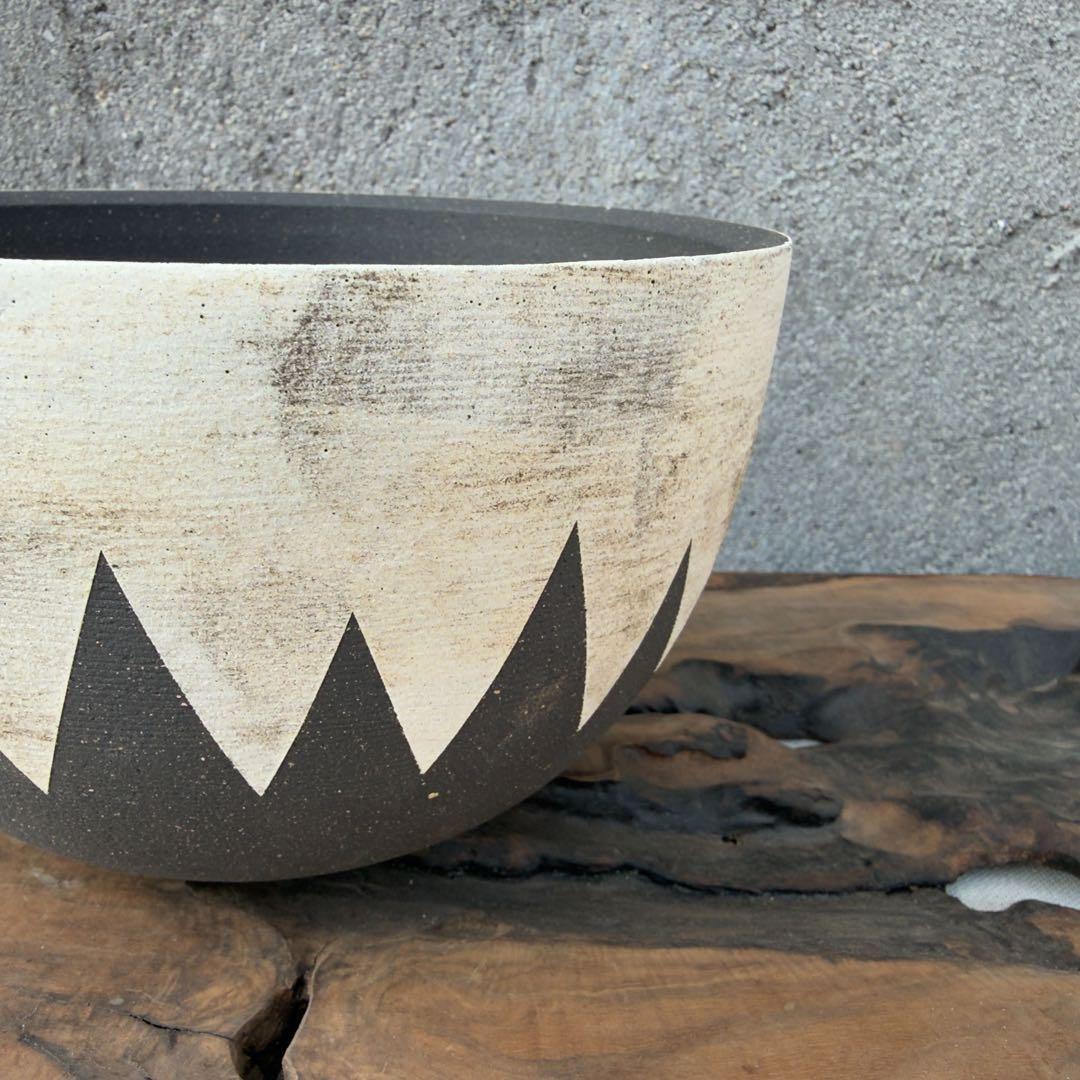 手作植木鉢 グラデーション植木鉢（ 塊根植物 グラキリス パキプス アガベ)