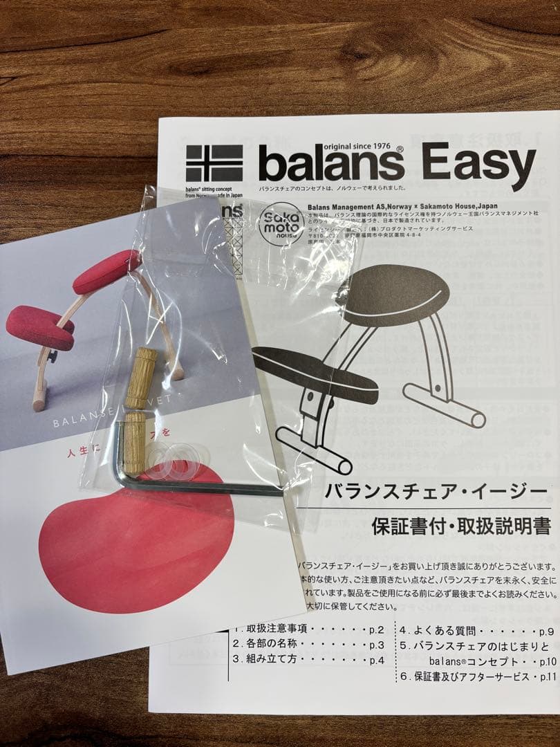 balance Easy バランスイージー バランスチェア