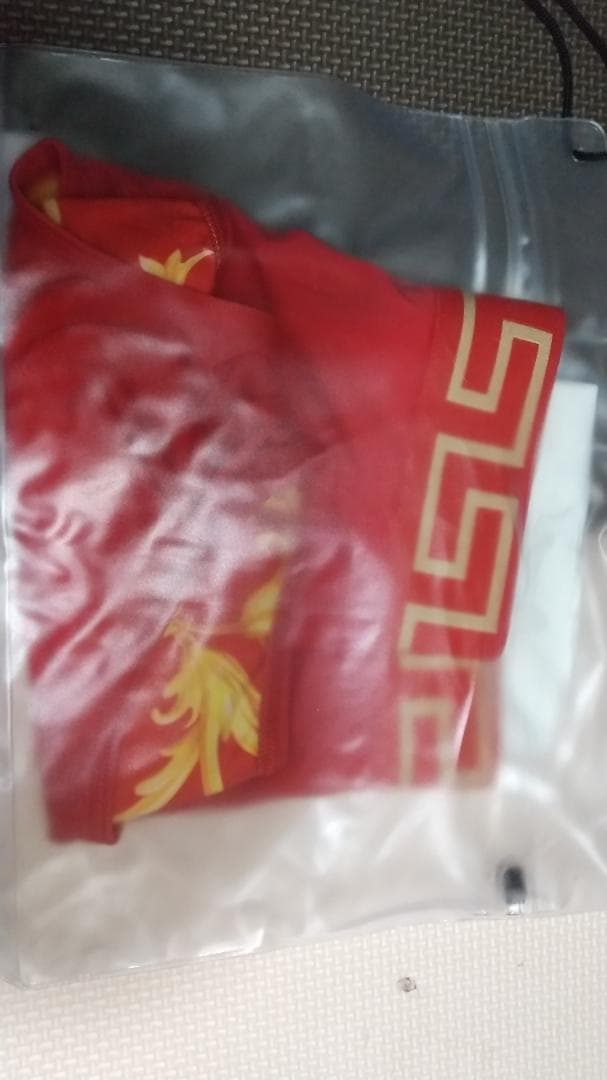 VERSACE水着