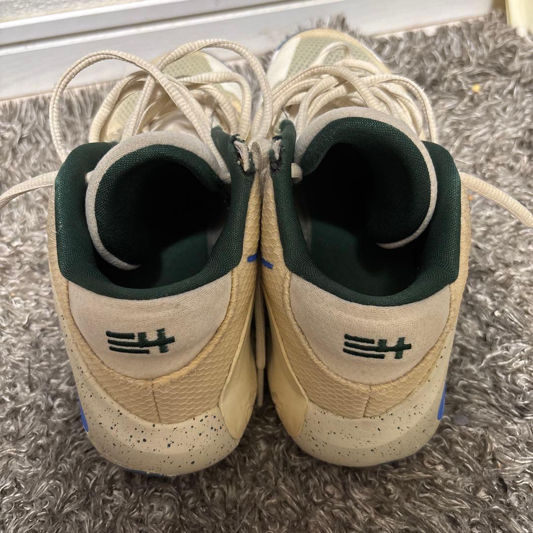 Nike Air Zoom Freak 1 シューズ shoes
