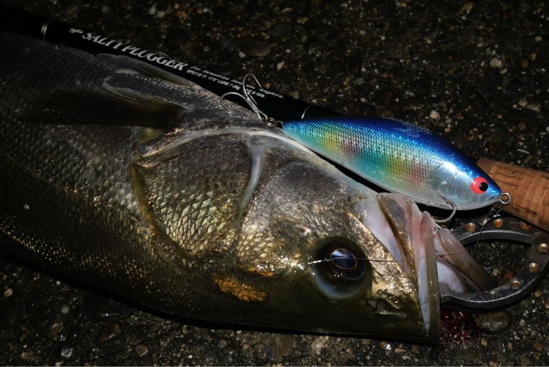 ufmウエダ SPS112-Ti