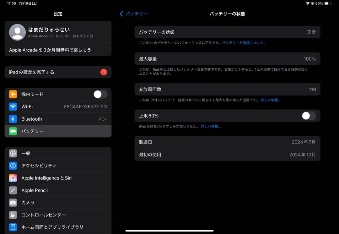 Apple iPad Pro M4チップriskey
