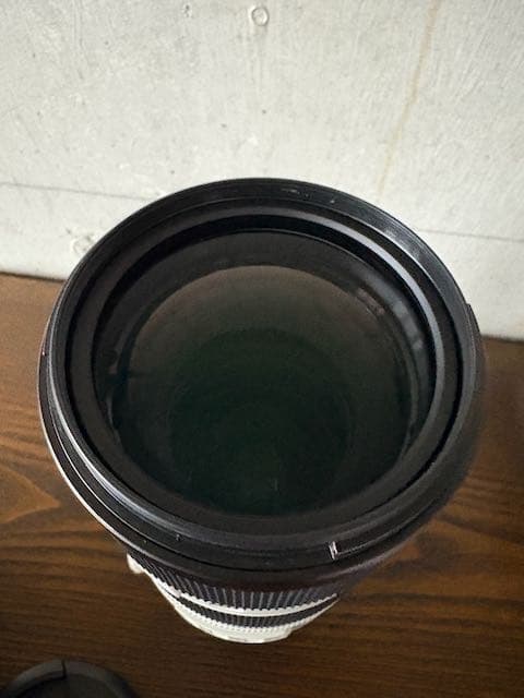 SONY FE 70-200mm F2.8 GM OSS II　＋　おまけ