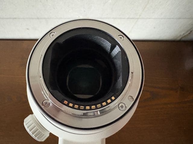 SONY FE 70-200mm F2.8 GM OSS II　＋　おまけ