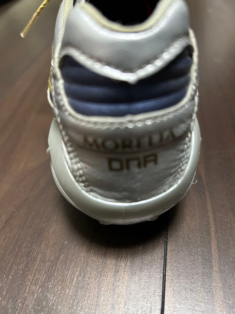 モレリアDNA