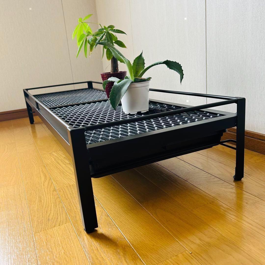 ⭐︎ゲリラセール　植物棚　シェルフ　アガペラック 124cm x 41cm