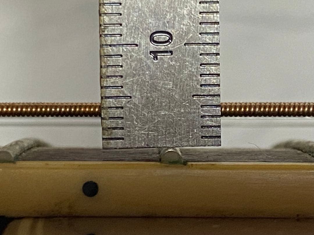 Ibanez エレアコギター　AEC24Ⅱ ソフトケース付美品1948-06-1