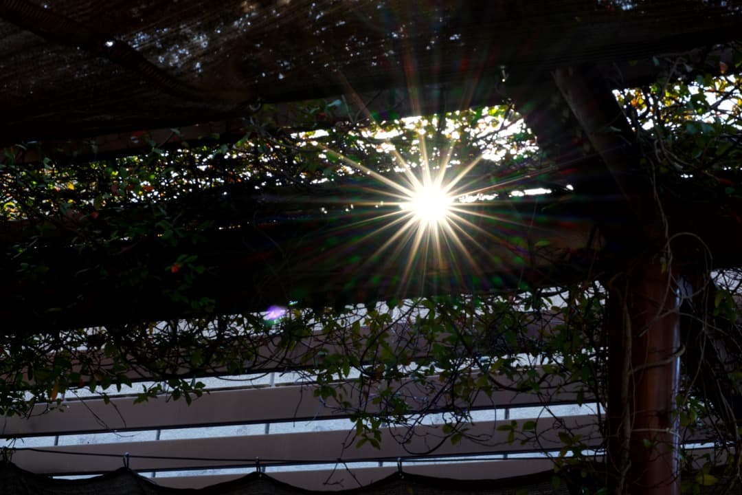 新品未開封 TTArtisan 75mm F1.5 M42 単焦点 スワリーボケ