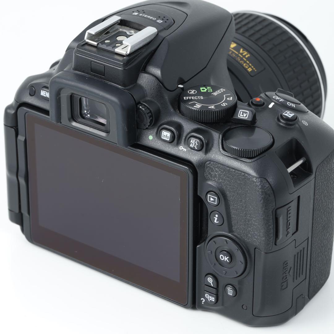 3154 ★D5500★NIKONニコン★デジタル一眼レフカメラ