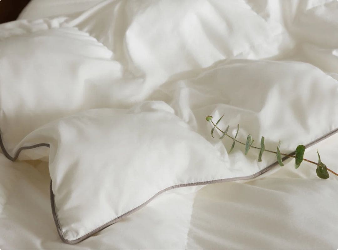 新品 コアラ掛け布団