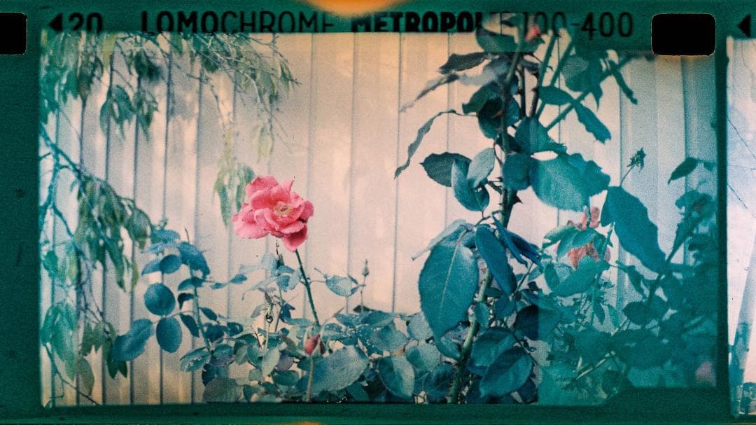 中古良品 Lomomatic 110 Camera&Flash Bellagio