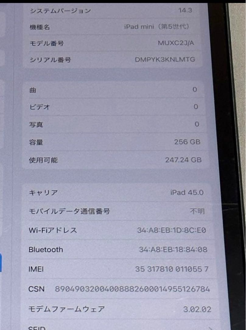 iPad本体 iPad mini5 256GB Cellular