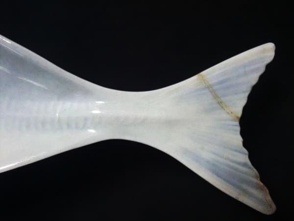 魚皿 アジ皿 刺身皿 染付 魚形皿セット 5枚 陶器製