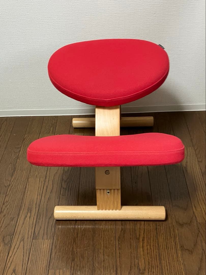 バランスイージー ショートフレーム 赤　サカモトハウス