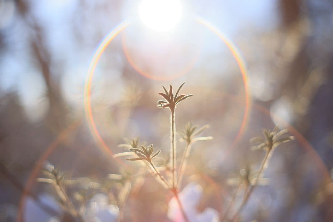 Super-Takumar 55mm F1.8 後期型 S/N：2094122