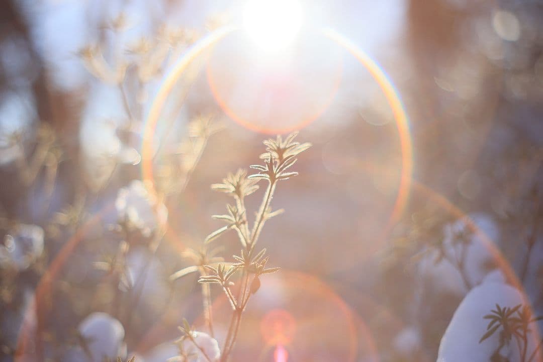 Super-Takumar 55mm F1.8 後期型 S/N：2094122