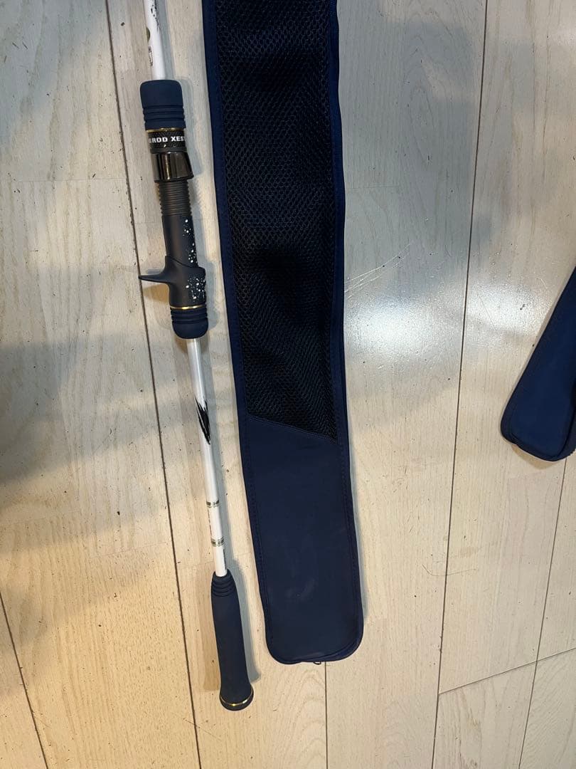 ゼスタB60-PPJ