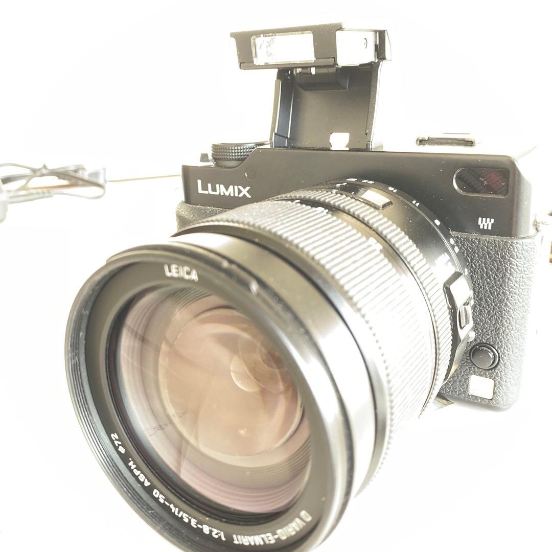 パナソニックLUMIXDMC-L1