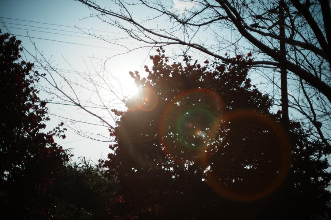 【希少8枚玉】動作◎ Super Takumar 50mm F1.4 344