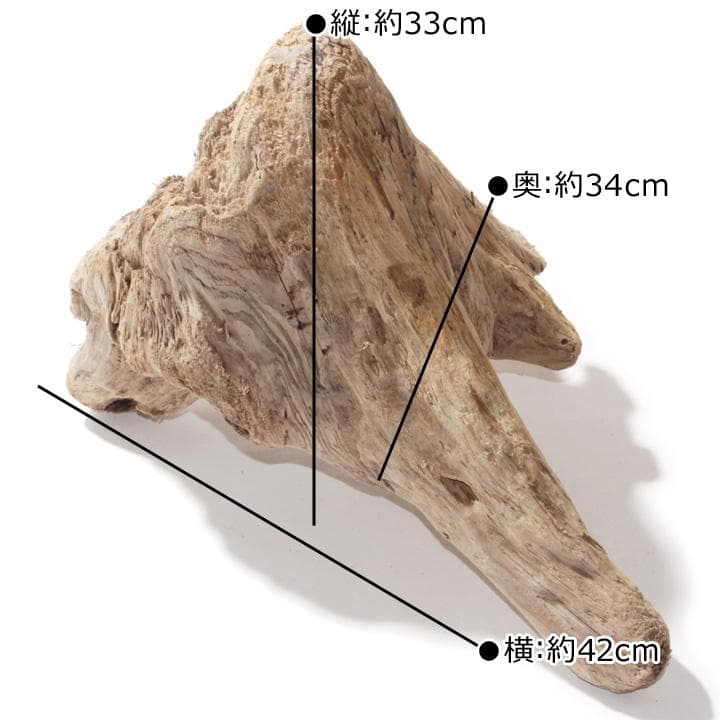 流木 インテリア レイアウト 42cm DIY アクアリウム 天然 rybk7