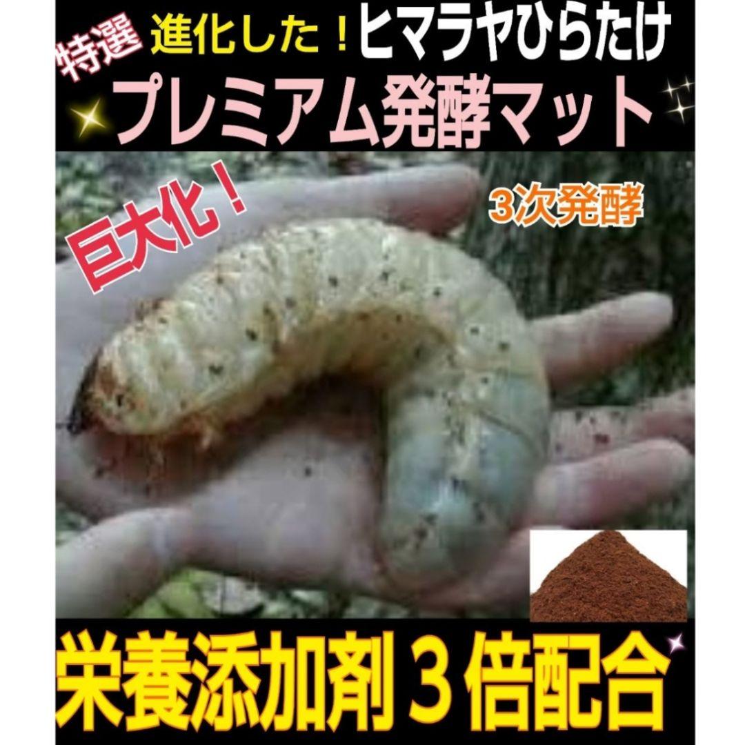 大好評！特選プレミアム3次発酵カブトムシマット【50L】特殊アミノ酸強化配合！