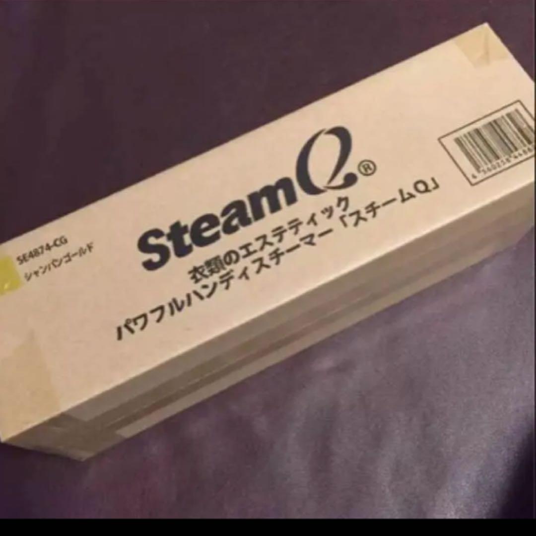 パワフルハンディスチーマー、新品