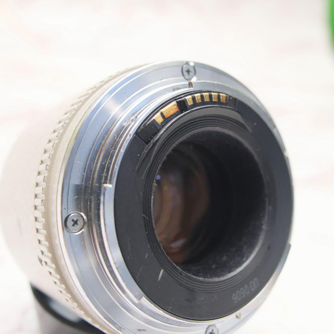 良好　Canon エクステンダー　x2