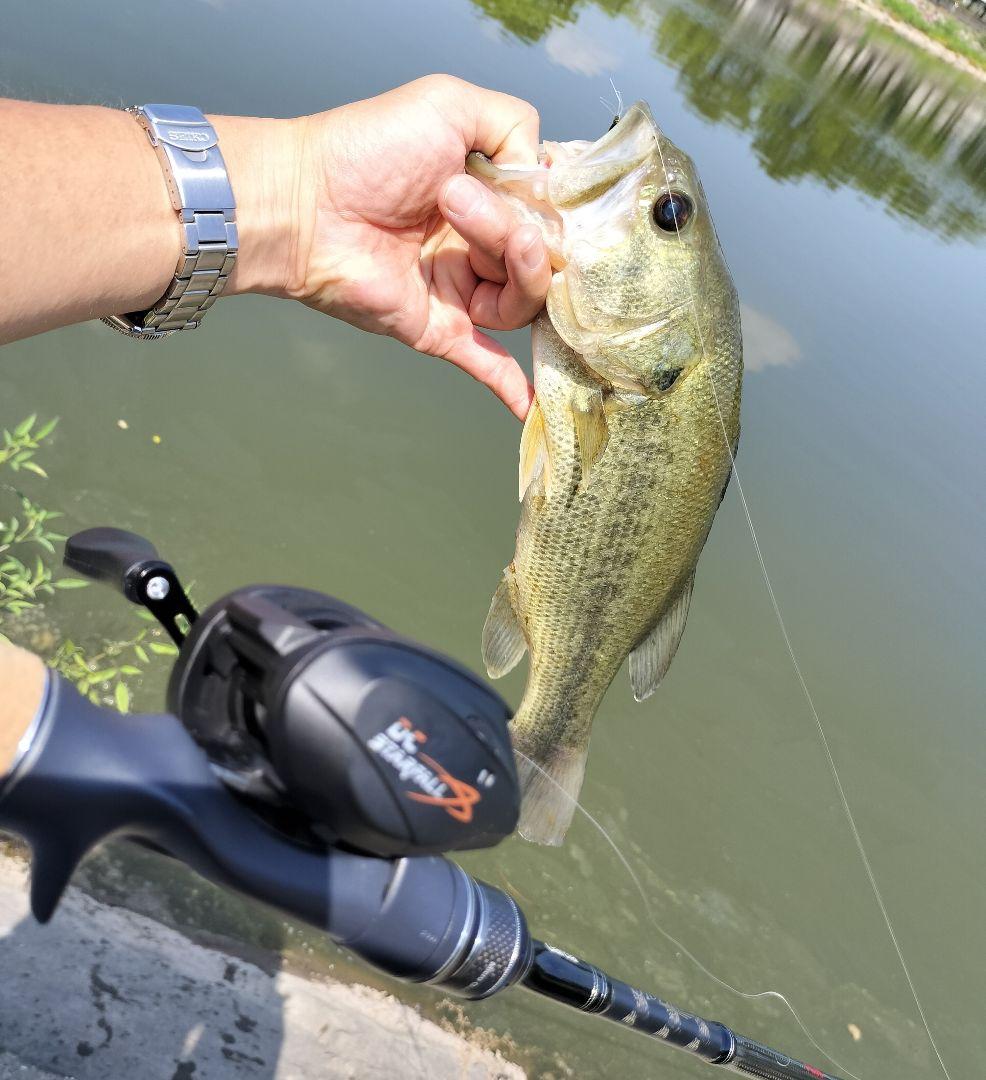 即決最安価格　最新中華DCベイトリール　アナトノSTARFALL 左ハンドル