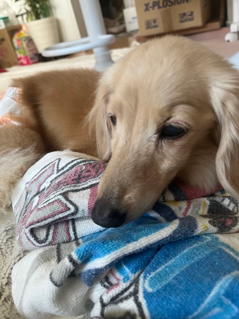 口元写真追加してみました