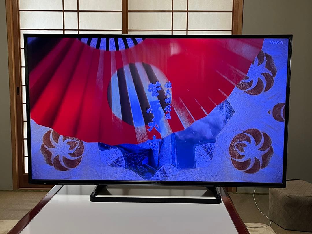 Panasonic TH-49E300 49インチ液晶テレビ【訳あり品】