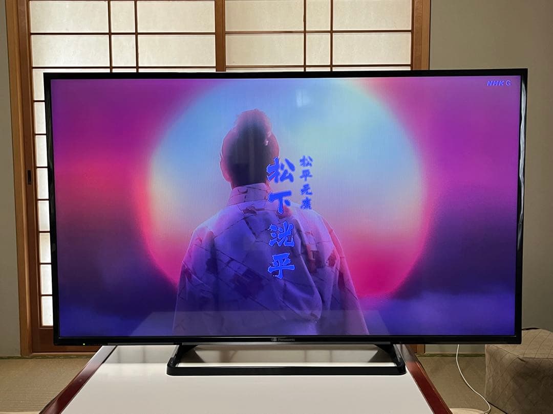 Panasonic TH-49E300 49インチ液晶テレビ【訳あり品】
