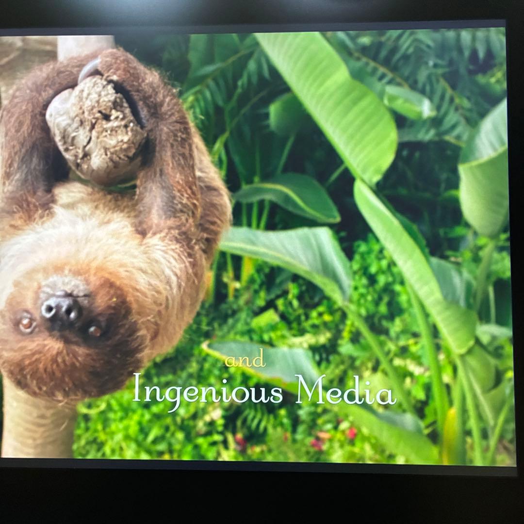 Wacom LCD TABLET DTH-2420 液晶タブレット パソコン