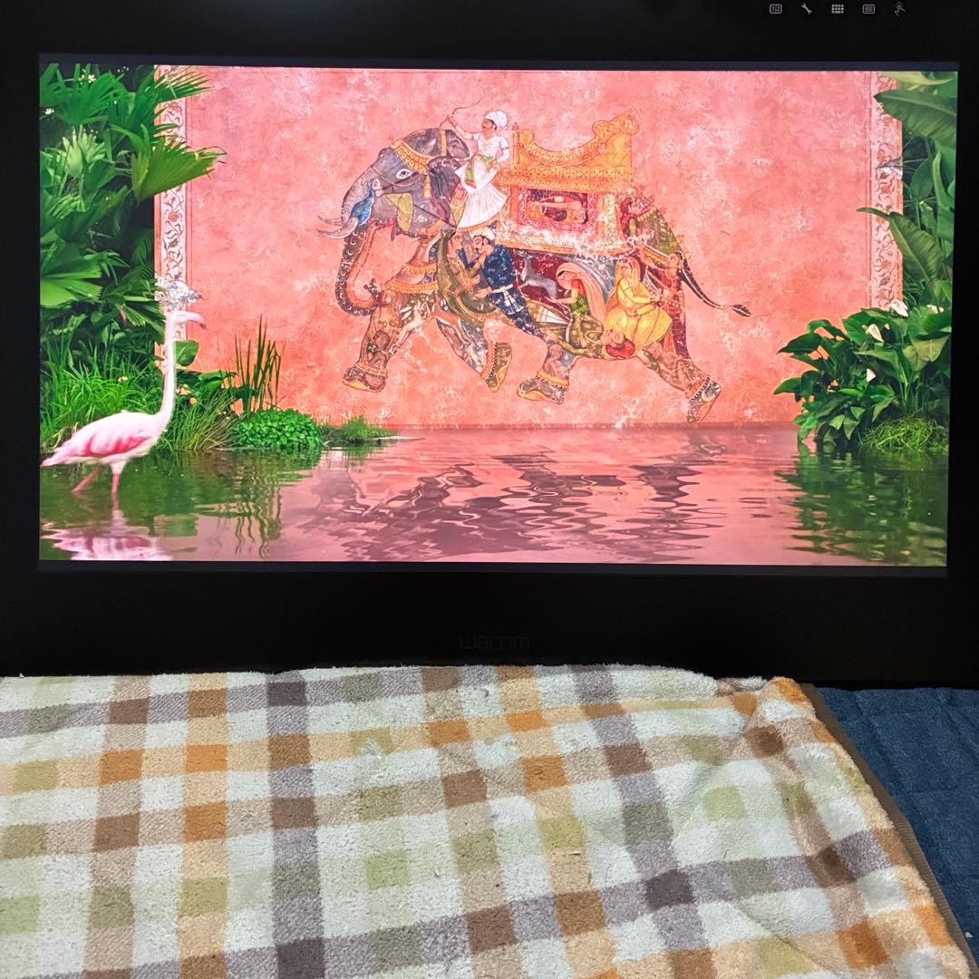 Wacom LCD TABLET DTH-2420 液晶タブレット パソコン