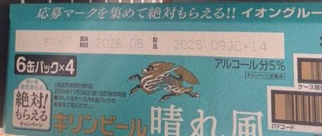 キリンビール 晴れ風 500ml×48本