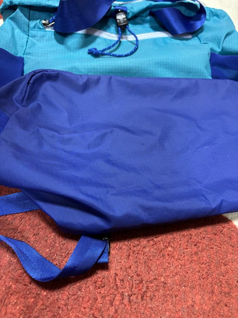 ✨美品　patagonia ウルトラライトブラックHole Tote Pack