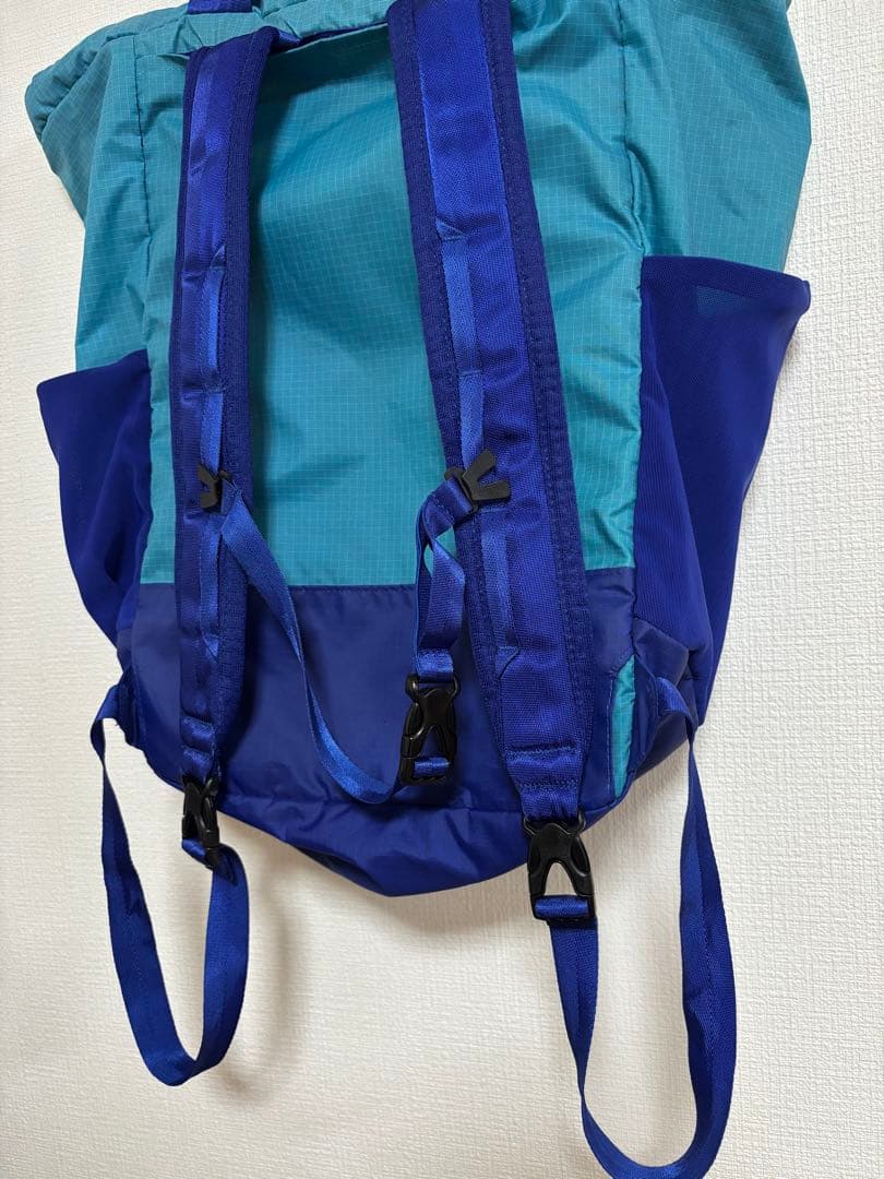 ✨美品　patagonia ウルトラライトブラックHole Tote Pack
