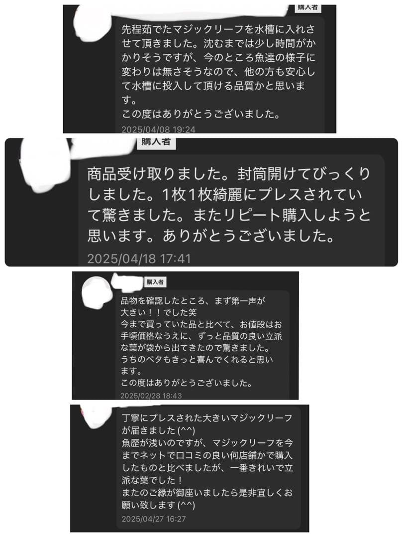 沖縄県やんばる産マジックリーフ 1kg UV殺菌灯照射済み③