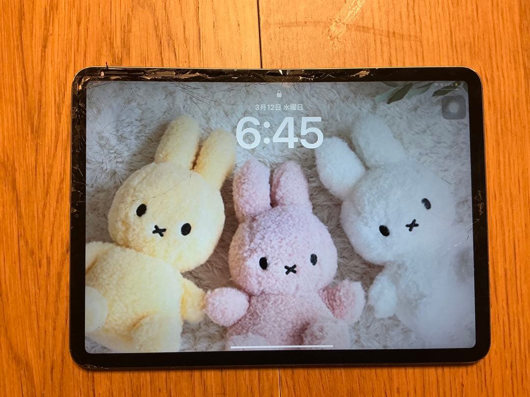 【ジャンク・箱付】iPadPro 11インチ第1世代 64GB MTXN2J/A