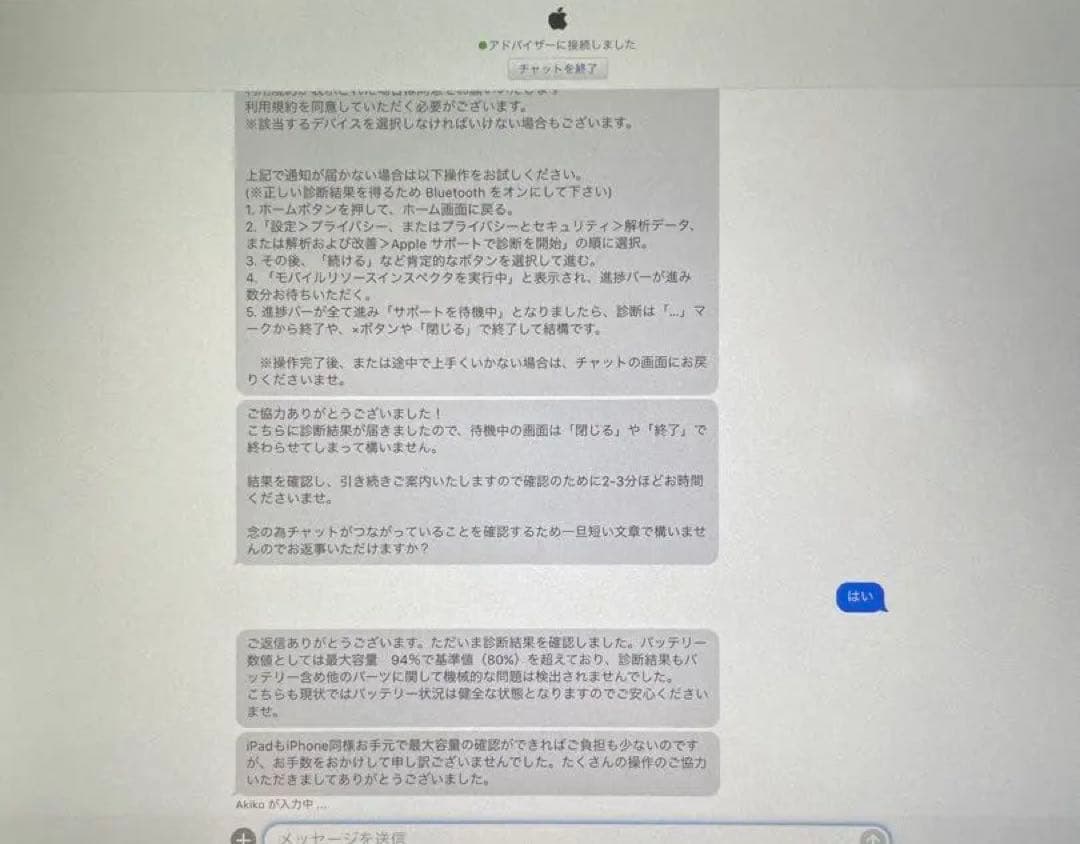 第1世代iPad Pro 9.7インチ 256GBシルバー タッチペンおまけ