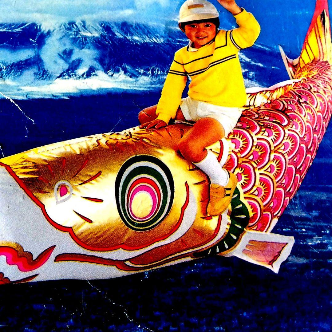 鯉のぼり デザイン 4色【５メートル】✖2セット